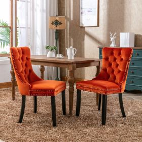 Nikki Collection Modern, High-end Tufted Solid Wood Contemporary Velvet Upholstered Dining Chair with Wood Legs Nailhead Trim 2-Pcs Set, Orange, SW200