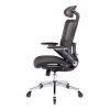 BLACK Ergonomic Mesh Office Chair, High Back - Adjustable Headrest with Flip-Up Arms, Tilt and lock Function, Lumbar Support and blade Wheels, KD chro