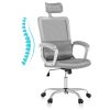 Sweetcrispy Ergonomic Office Chair High Back Mesh Gaming Desk Chair with Adjustable Headrest and Lumbar Support - as Pic